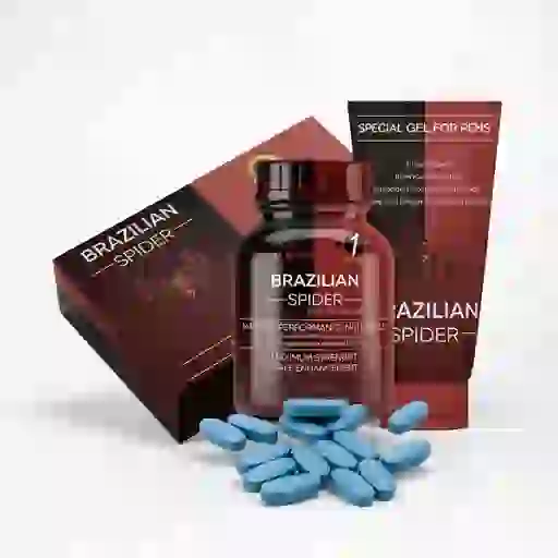 Brasillian Spider